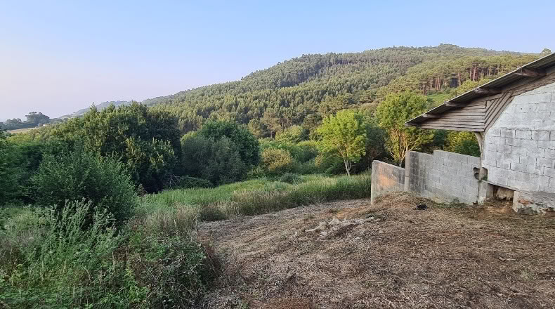 Бискайя - Бакио - 8744 м²