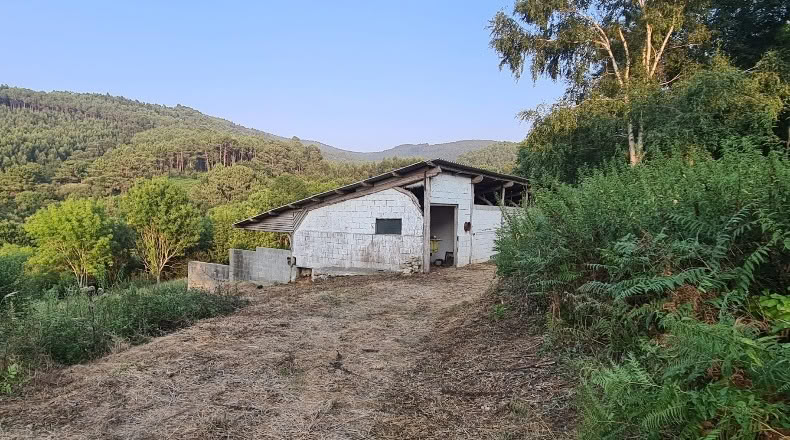 Бискайя - Бакио - 8744 м²