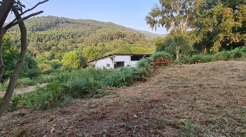 Бискайя - Бакио - 8744 м²