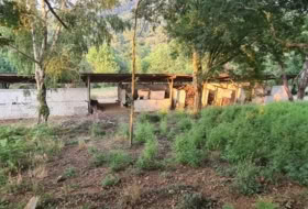 Бакио 8744&nbsp;м²