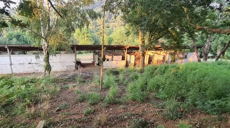 Бискайя - Бакио - 8744 м²