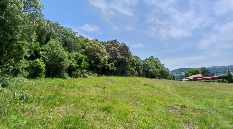 Бискайя - Горлис - 2000 м²