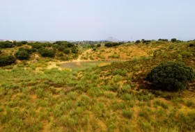 Villanueva del Rosario 108878&nbsp;m²