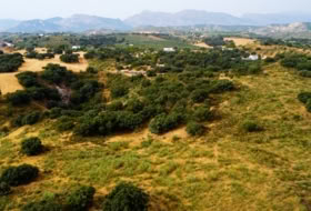 Villanueva del Rosario 108878&nbsp;m²