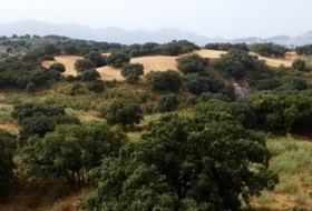 Villanueva del Rosario 108878&nbsp;m²