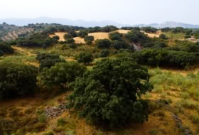 Villanueva del Rosario 108878&nbsp;m²
