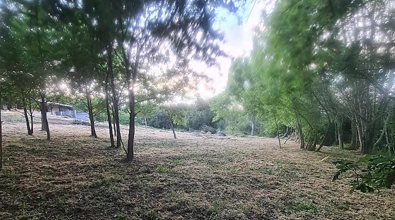 Бискайя - Бакио - 8744 м²