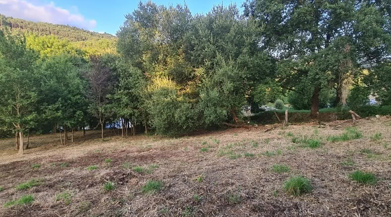 Бискайя - Бакио - 8744 м²
