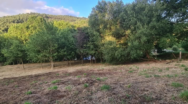 Бискайя - Бакио - 8744 м²