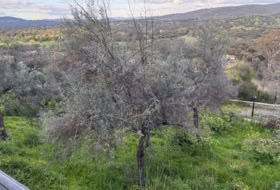 El Castillo de las Guardas 1600&nbsp;m²