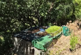 Foto 9