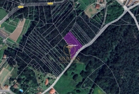Tomiño 3200&nbsp;m²