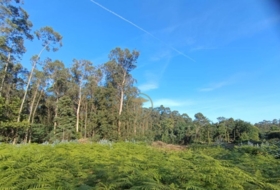 Tomiño 3200&nbsp;m²