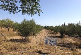 Caudete 1822&nbsp;m²
