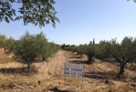 Caudete 1822&nbsp;m²