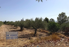 Caudete 1822&nbsp;m²