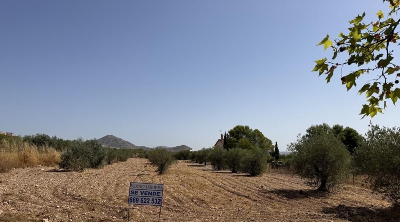 Albacete - Caudete - 2666 m²