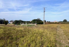 Cerín 600&nbsp;m² 