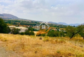 Велес-Рубио 1500&nbsp;м²