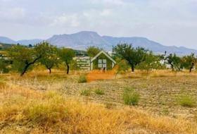 Велес-Рубио 1500&nbsp;м²