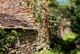 Foto 13