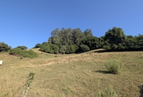 Парбайон 5400&nbsp;м²