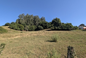 Парбайон 5400&nbsp;м²