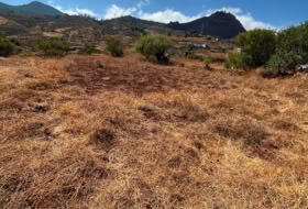 San Cristóbal de La Laguna 2040&nbsp;m²
