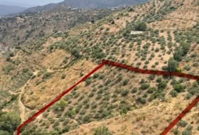 Riogordo 38631&nbsp;m²