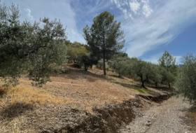 Riogordo 38631&nbsp;m²