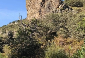 Folgoso de la Ribera 49&nbsp;m²