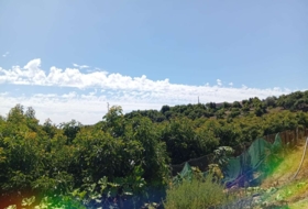 Vélez-Málaga 5600&nbsp;m²