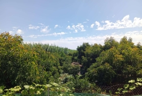 Vélez-Málaga 5600&nbsp;m²