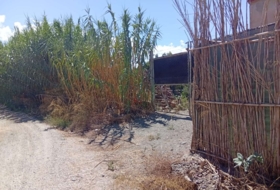 Vélez-Málaga 5600&nbsp;m²