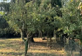 Carude 1331&nbsp;m²