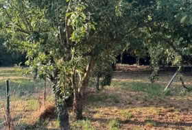 Carude 1331&nbsp;m²