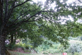Roublín 1700&nbsp;m²