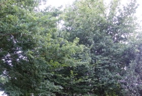 Roublín 1700&nbsp;m²