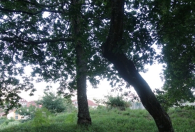 Roublín 1700&nbsp;m²