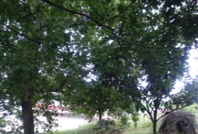 Roublín 1700&nbsp;m²
