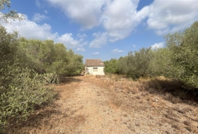 l'Aldea 27168&nbsp;m²