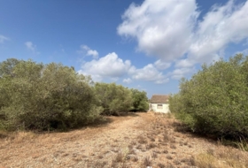 l'Aldea 27168&nbsp;m²