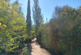 Villamuriel de Cerrato 2283&nbsp;m²