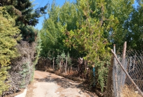 Villamuriel de Cerrato 2283&nbsp;m²