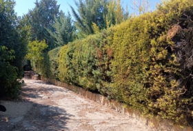 Villamuriel de Cerrato 2283&nbsp;m²
