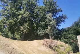 Roublín 1700&nbsp;m²