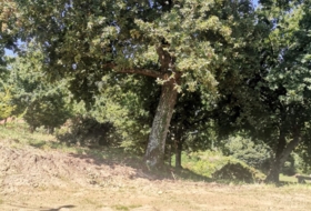 Roublín 1700&nbsp;m²