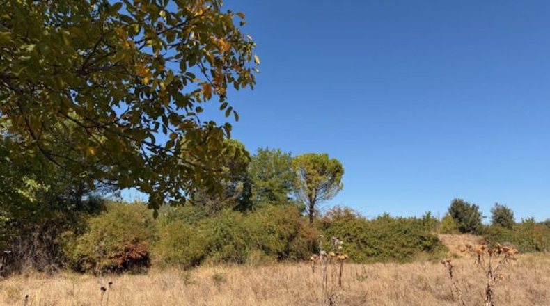 Palencia - Valle de Cerrato - 9540 m²