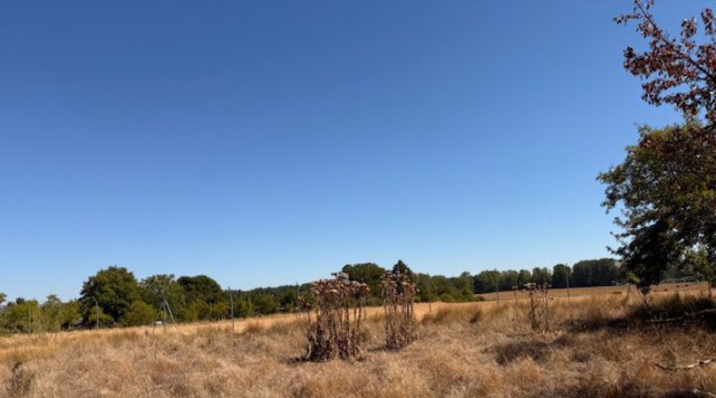 Palencia - Valle de Cerrato - 9540 m²
