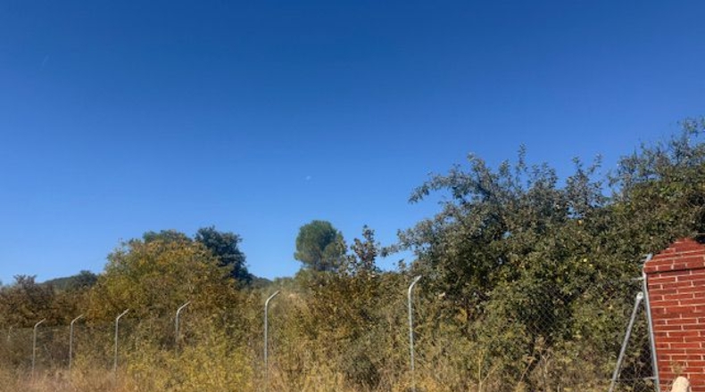 Palencia - Valle de Cerrato - 9540 m²